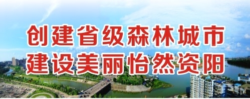 大屌插少妇骚穴视屏创建省级森林城市 建设美丽怡然资阳